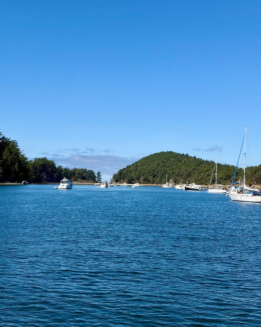 Your Guide to Visiting Sucia Island Marine State Park From Bellingham