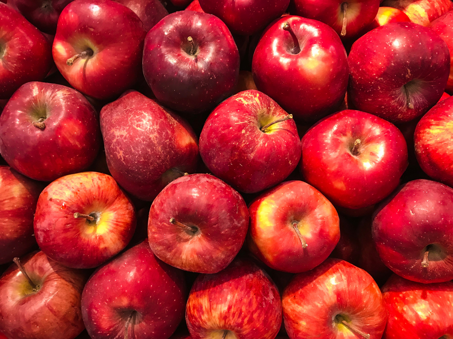 Whatcom County Health Issues Safety Tips for Fall Apple Cider Pressing