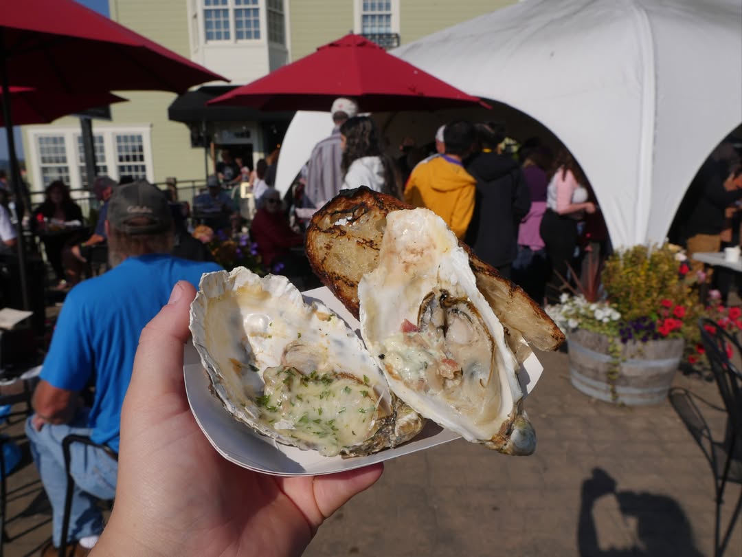 Your Guide to Fall Oyster Season in Bellingham and Whatcom County