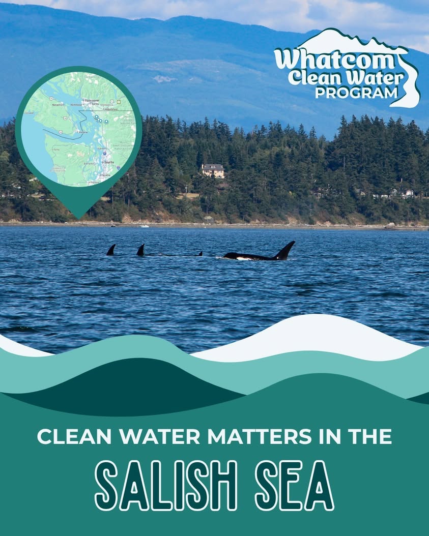 Whatcom CD Highlights Salish Sea Health at SeaFeast This Weekend